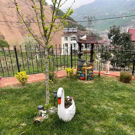 Fuays Premium * Trabzon